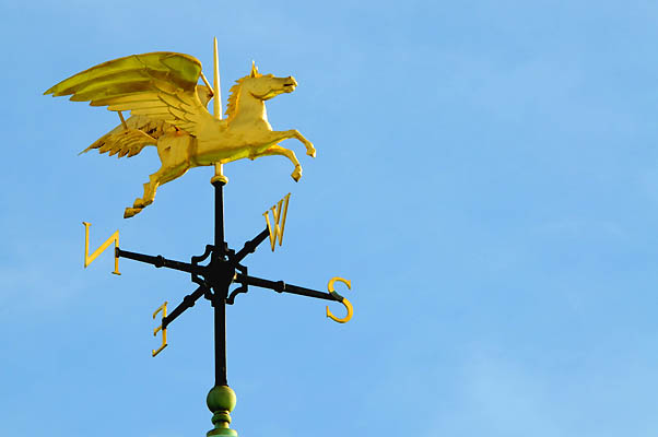 Horse vane